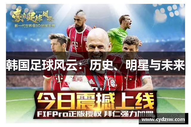 韩国足球风云：历史、明星与未来