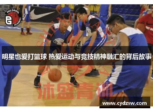明星也爱打篮球 热爱运动与竞技精神融汇的背后故事