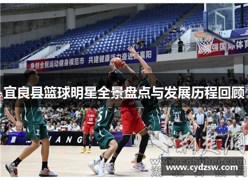 宜良县篮球明星全景盘点与发展历程回顾