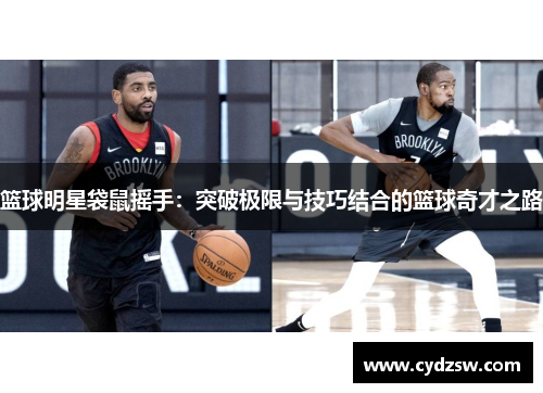 篮球明星袋鼠摇手：突破极限与技巧结合的篮球奇才之路
