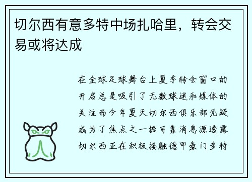切尔西有意多特中场扎哈里，转会交易或将达成